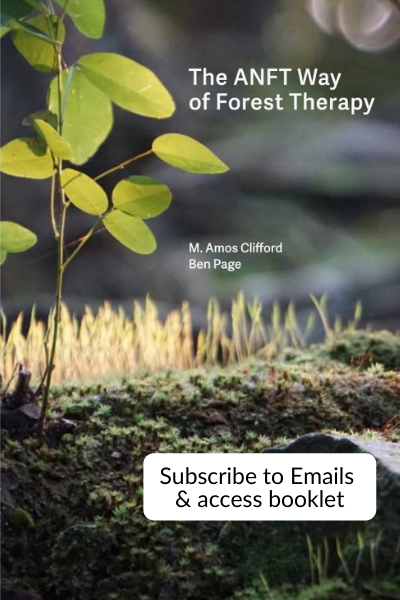 5e0923fced2a275b9e77eb6f_Subscribe to Emails & access booklet