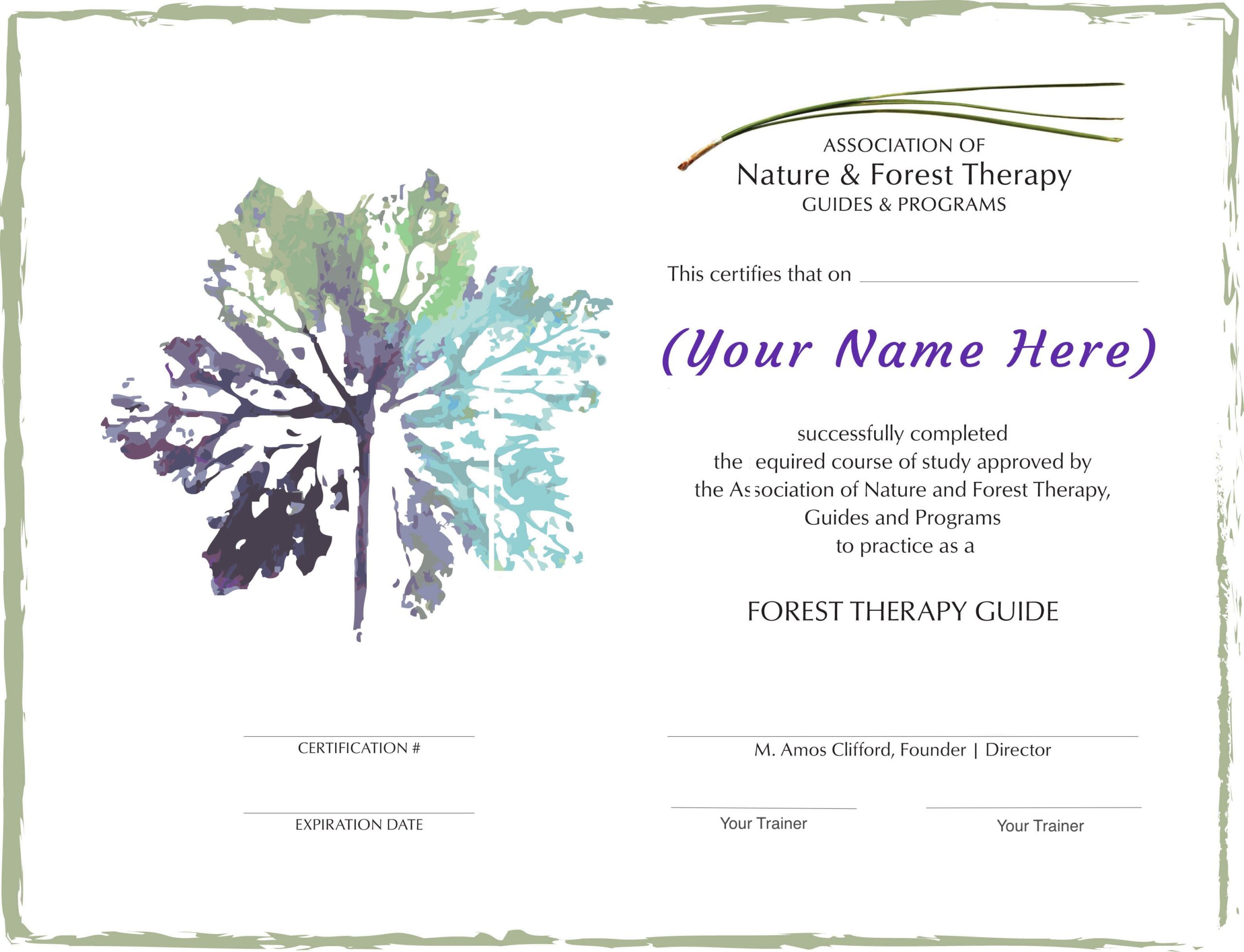 ANFT_GUIDE_CERTIFICATE_TEMPLATE_2020