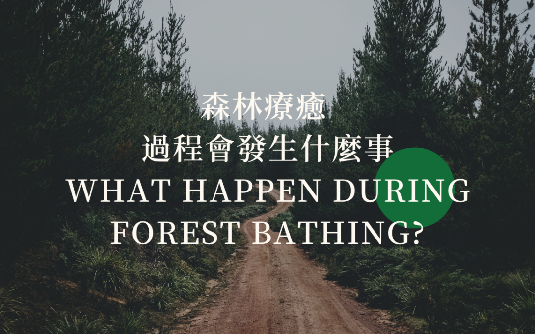 森林療癒 過程會發生什麼事 What happen during forest bathing?